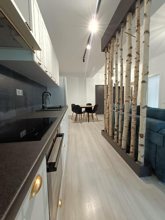 Apartament Cochet Cu Design Modern Apartment ฟลอเรชติ ภายนอก รูปภาพ